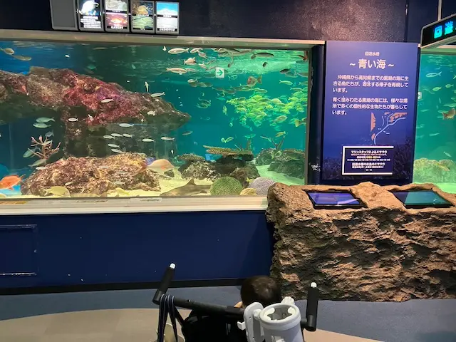 サンピアザ水族館の大きい水槽