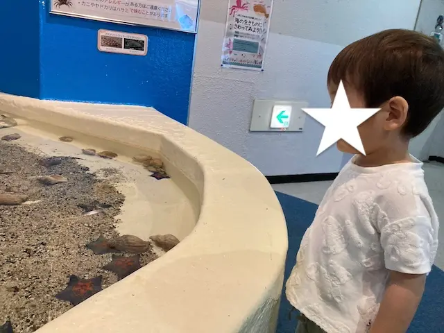 新札幌】サンピアザ水族館しょぼい？何歳くらいからおすすめ？